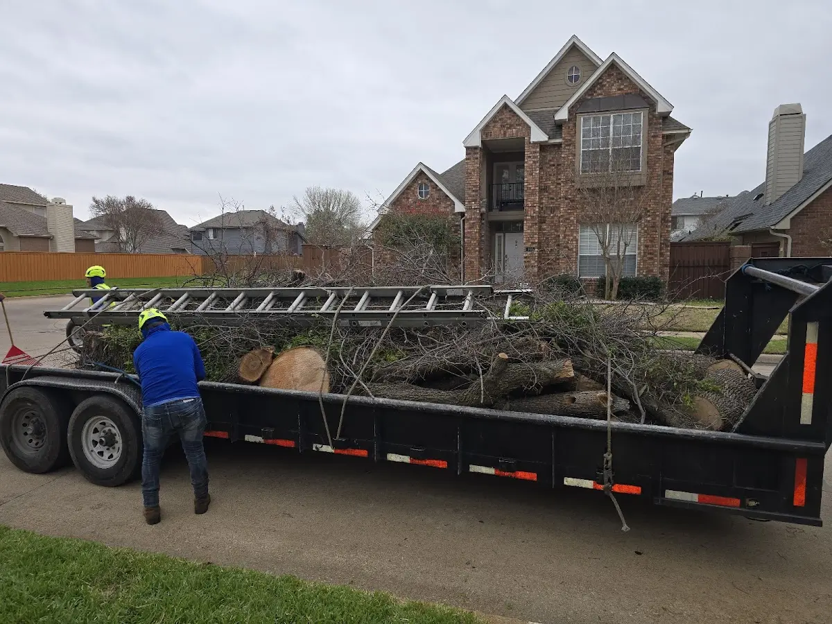 Expert Crown Reduction with proper safety equipment in Weyerhaeuser
